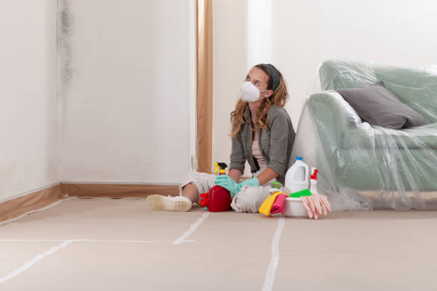 Reliable Black Mold Remediation contractor in Franklin, NC by Car Mold Remediation